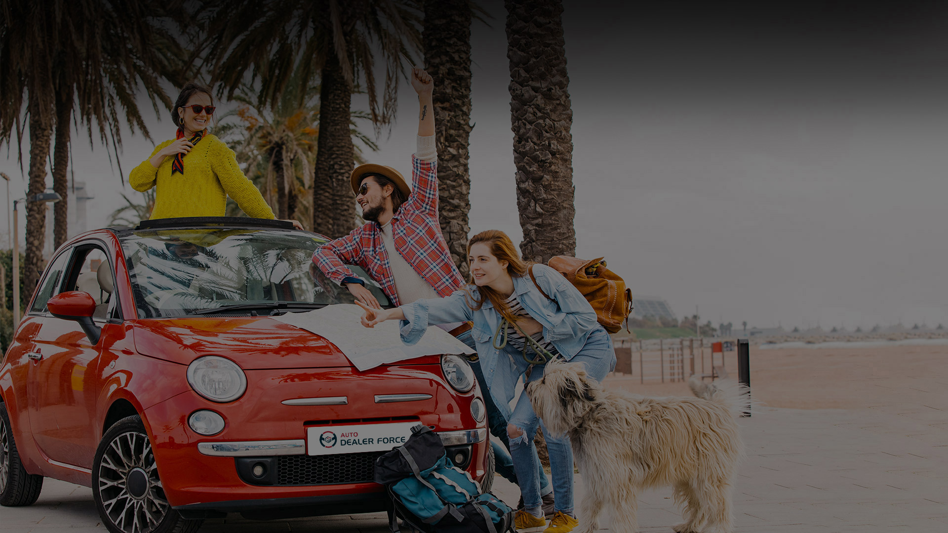 Auto Dealer Force
